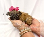 Image preview for Ad Listing. Nickname: Maple