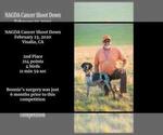 Small Photo #1 German Shorthaired Pointer Puppy For Sale in FULLERTON, CA, USA