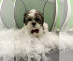 Image preview for Ad Listing. Nickname: George