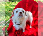 Small #1 Care-Tzu