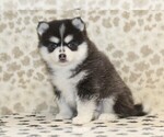Image preview for Ad Listing. Nickname: Candy
