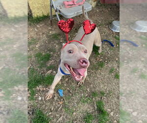 Main image of advertise