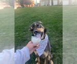 Small #10 Mutt
