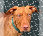 Small #3 Breeder Profile image