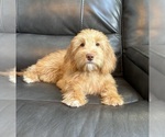 Image preview for Ad Listing. Nickname: Grace