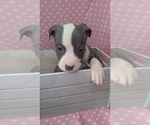 Image preview for Ad Listing. Nickname: Stormy