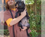 Small #3 Mutt