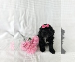 Image preview for Ad Listing. Nickname: Karla