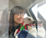 Small #1 Poodle (Miniature) Mix