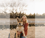 Small Photo #1 German Shepherd Dog Puppy For Sale in KANORADO, KS, USA