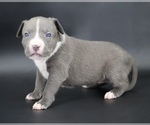 Image preview for Ad Listing. Nickname: Esther