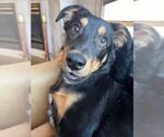 Small Rotterman