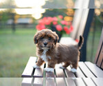 Image preview for Ad Listing. Nickname: Charlie