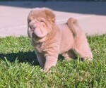 Image preview for Ad Listing. Nickname: Prozac
