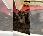 Image preview for Ad Listing. Nickname: Janet
