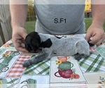  - Photo #2