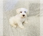 Image preview for Ad Listing. Nickname: Erin