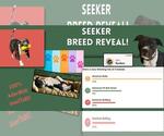 Small #2 Breeder Profile image