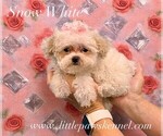 Image preview for Ad Listing. Nickname: Tiny Snow White