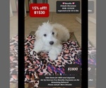 Image preview for Ad Listing. Nickname: Bazella