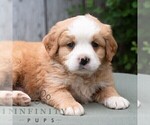 Image preview for Ad Listing. Nickname: Kamden