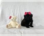 Image preview for Ad Listing. Nickname: Kallie