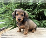 Image preview for Ad Listing. Nickname: River
