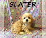 Image preview for Ad Listing. Nickname: Slater