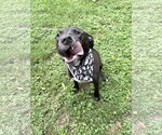 Small #1 Mastador