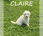 Image preview for Ad Listing. Nickname: Claire