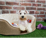 Image preview for Ad Listing. Nickname: Clara