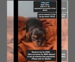 Image preview for Ad Listing. Nickname: Marty