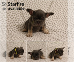 Image preview for Ad Listing. Nickname: Starfire