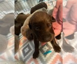 Image preview for Ad Listing. Nickname: Lt Blue collar
