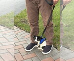 Small Photo #5 Mutt Puppy For Sale in Plainfield, IL, USA