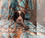 Image preview for Ad Listing. Nickname: Male 3