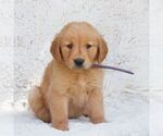 Image preview for Ad Listing. Nickname: Pierre