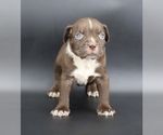 Image preview for Ad Listing. Nickname: Oompa