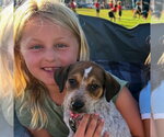 Small Photo #7 Mutt Puppy For Sale in San Juan Capistrano, CA, USA
