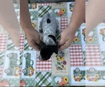  - Photo #3