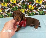 Image preview for Ad Listing. Nickname: Mini  John