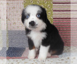 Image preview for Ad Listing. Nickname: Windy