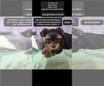 Image preview for Ad Listing. Nickname: Calvin