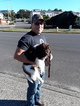 Small Photo #6 Newfoundland Puppy For Sale in CITRUS HEIGHTS, CA, USA