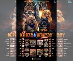 Image preview for Ad Listing. Nickname: KhazaXWednesday