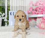 Image preview for Ad Listing. Nickname: KEY WEST