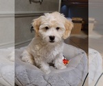 Image preview for Ad Listing. Nickname: Jupiter