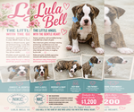 Image preview for Ad Listing. Nickname: Lula Bell