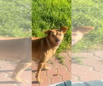 Small #2 Breeder Profile image