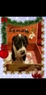 Small Photo #8 Great Dane Puppy For Sale in CLOVIS, CA, USA